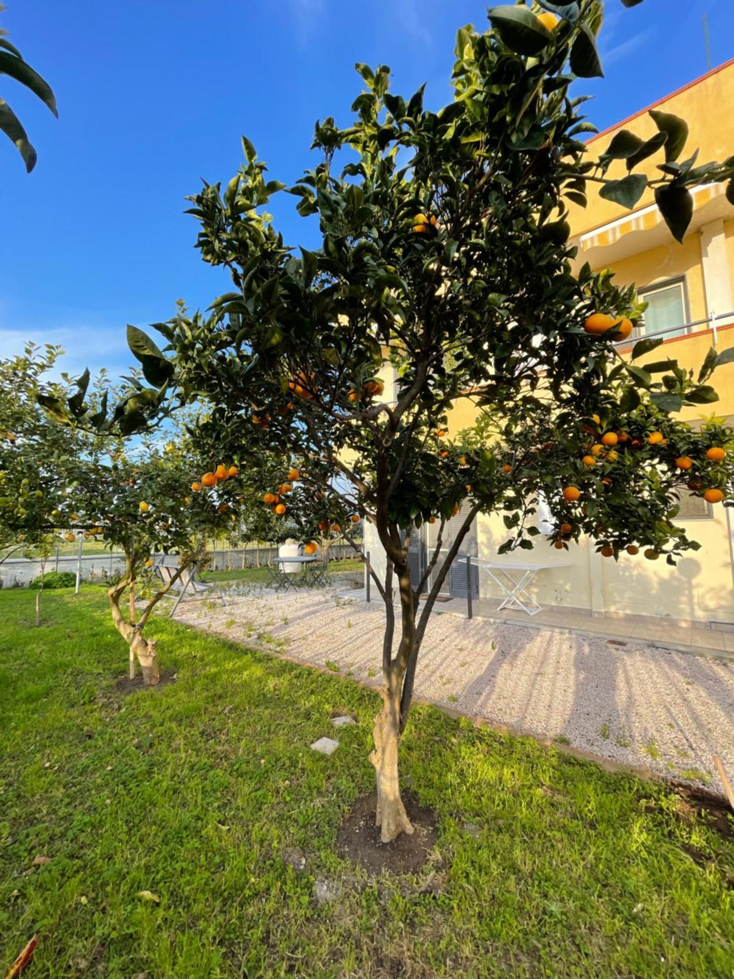 Casa Vacanze Paradise Santa Maria La Carità Kültér fotó