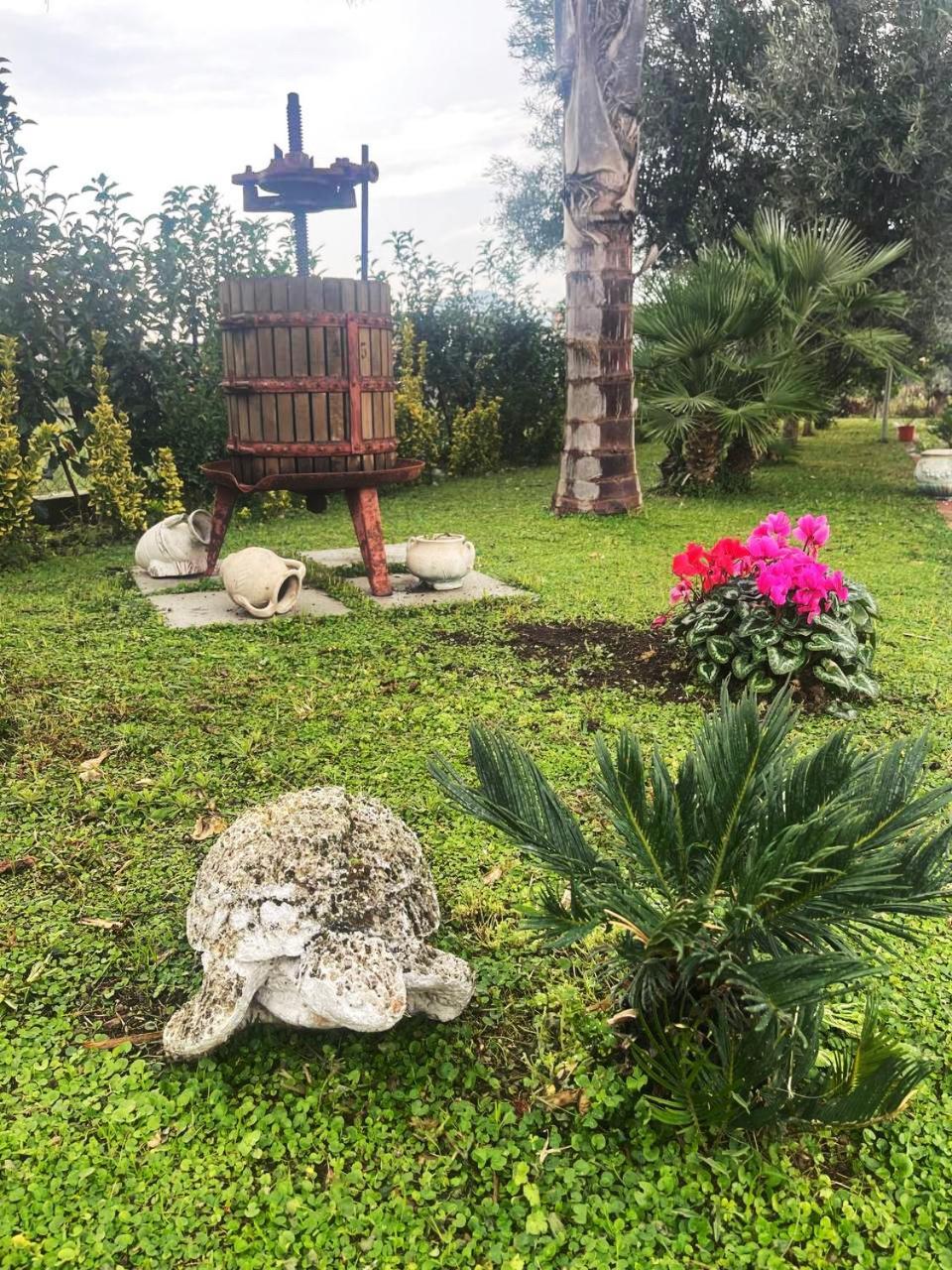 Casa Vacanze Paradise Santa Maria La Carità Kültér fotó